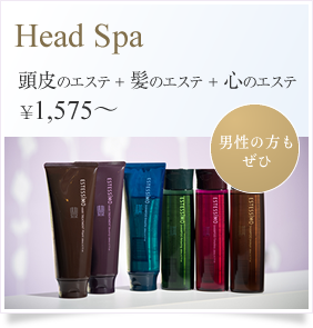 Head Spa 頭皮のエステ ＋ 髪のエステ ＋ 心のエステ